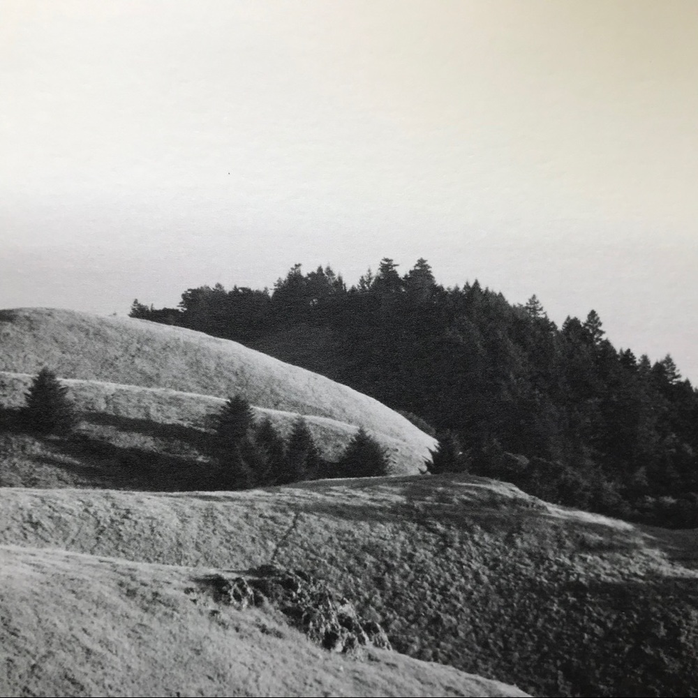 I Sell Photography Art Prints - Picture 12 of 16